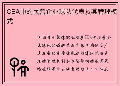 CBA中的民营企业球队代表及其管理模式